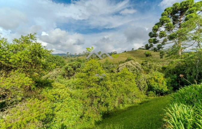 Imagem Casa com 4 Quartos à Venda, 200 m² em Parque Ferradura - Campos Do Jordão Imagem Casa com 4 Quartos à Venda, 200 m² em Parque Ferradura - Campos Do Jordão