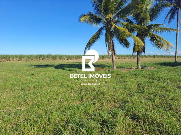 Imagem Terreno à Venda, 2.000 m² em Bom Jardim - São Francisco De Itabapoana Imagem Terreno à Venda, 2.000 m² em Bom Jardim - São Francisco De Itabapoana