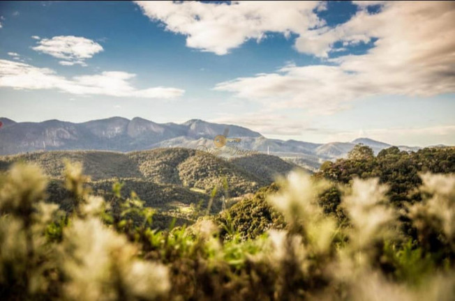 Imagem Casa com 5 Quartos à Venda, 1.000 m² em Fazenda Suiça - Teresópolis Imagem Casa com 5 Quartos à Venda, 1.000 m² em Fazenda Suiça - Teresópolis