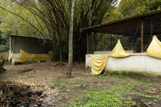 Imagem Imóvel com 7 Quartos à Venda, em Guaratiba - Rio De Janeiro Imagem Imóvel com 7 Quartos à Venda, em Guaratiba - Rio De Janeiro