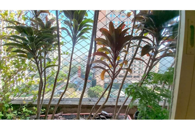 Imagem Apartamento com 3 Quartos à Venda, 108 m² em Cidade Monções - São Paulo