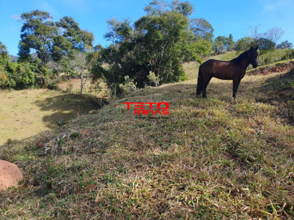 Imagem Imóvel à Venda, em Soledade De Minas - Soledade De Minas Imagem Imóvel à Venda, em Soledade De Minas - Soledade De Minas