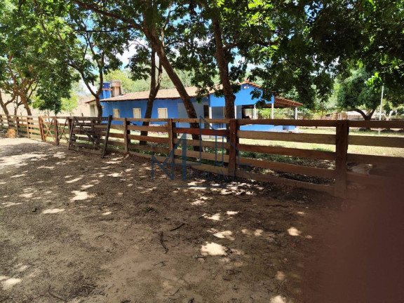 Imagem Fazenda à Venda, em Oloana - Hidrolândia Imagem Fazenda à Venda, em Oloana - Hidrolândia