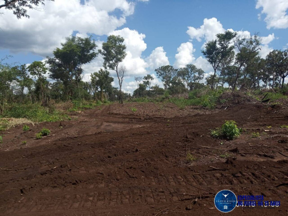 Imagem Fazenda à Venda, 195 m² em Zona Rural - Ribeirão Cascalheira Imagem Fazenda à Venda, 195 m² em Zona Rural - Ribeirão Cascalheira
