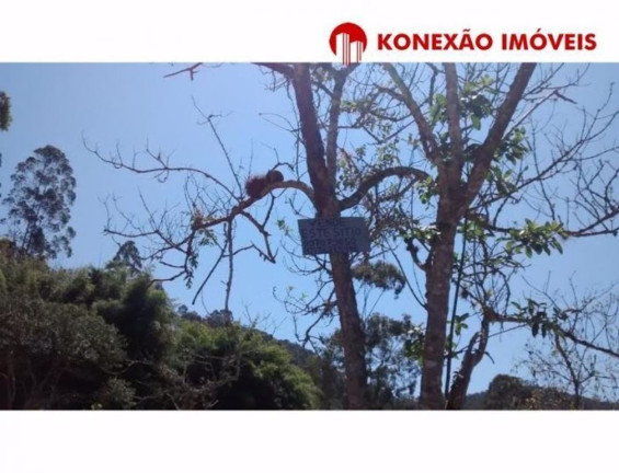 Imagem Fazenda à Venda, 100 m² em Pouso Alto - Natividade Da Serra Imagem Fazenda à Venda, 100 m² em Pouso Alto - Natividade Da Serra
