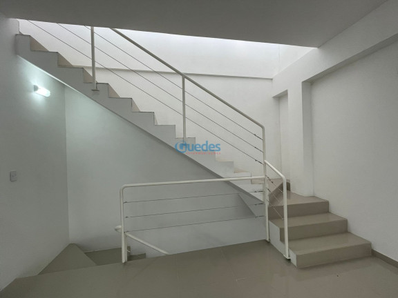 Imagem Sala Comercial para Alugar, 249 m² em Indianópolis - São Paulo