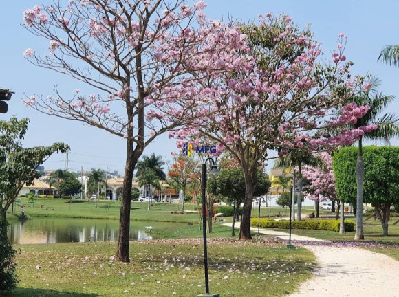 Imagem Casa de Condomínio com 4 Quartos à Venda, 282 m² em Condomínio Residencial Ibiti Royal Park - Sorocaba Imagem Casa de Condomínio com 4 Quartos à Venda, 282 m² em Condomínio Residencial Ibiti Royal Park - Sorocaba