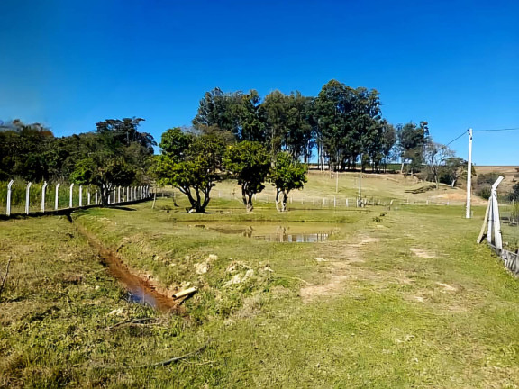 Imagem Chácara com 3 Quartos à Venda, 4 m² em Andradas Imagem Chácara com 3 Quartos à Venda, 4 m² em Andradas