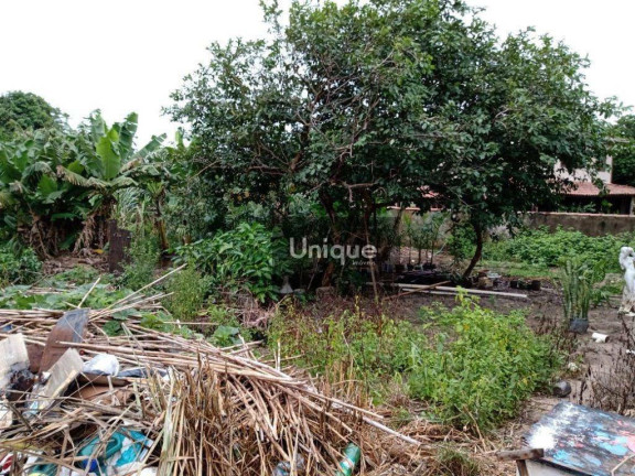 Imagem Terreno à Venda, 900 m² em Baia Formosa - Armação Dos Búzios Imagem Terreno à Venda, 900 m² em Baia Formosa - Armação Dos Búzios