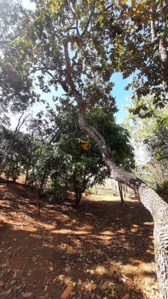 Imagem Casa com 1 Quarto à Venda, 80 m² em Recanto Da Lagoa - Lagoa Santa Imagem Casa com 1 Quarto à Venda, 80 m² em Recanto Da Lagoa - Lagoa Santa