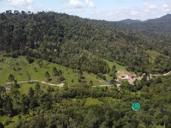 Imagem Imóvel com 2 Quartos à Venda, 500.000 m² em Interior - Otacílio Costa Imagem Imóvel com 2 Quartos à Venda, 500.000 m² em Interior - Otacílio Costa