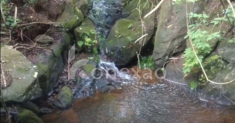 Chácara com 4 Quartos à Venda, 300 m² em Canaã - Jambeiro