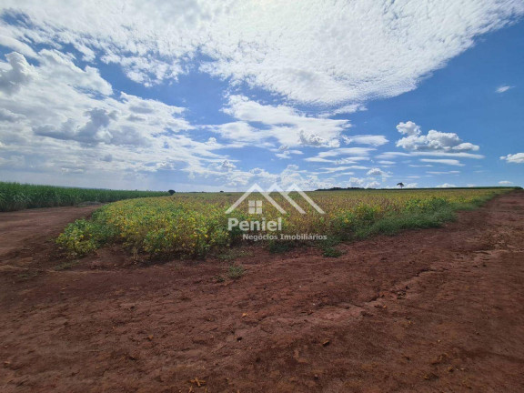 Imagem Fazenda à Venda, 500 m² em Luis Antonio - Luís Antônio Imagem Fazenda à Venda, 500 m² em Luis Antonio - Luís Antônio