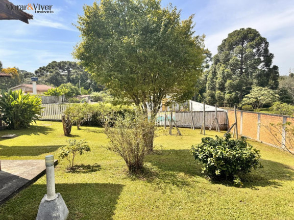 Imagem Chácara com 4 Quartos à Venda, 7.700 m² em Loteamento Chácara Chantecler - Piraquara