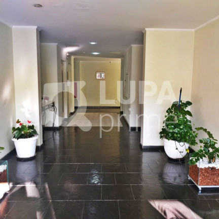 Imagem Apartamento com 3 Quartos à Venda, 60 m² em Vila Maria Alta - São Paulo Imagem Apartamento com 3 Quartos à Venda, 60 m² em Vila Maria Alta - São Paulo