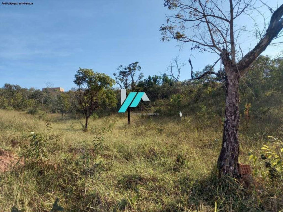 Fazenda à Venda, 1.000 m² em Francelinos - Juatuba