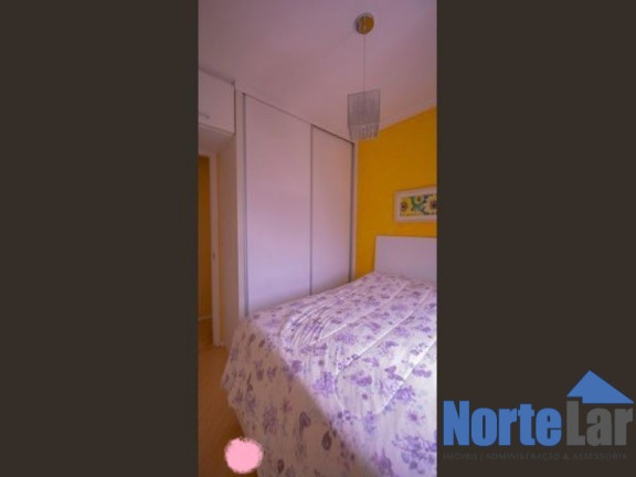 Imagem Apartamento com 2 Quartos para Alugar, 52 m² em Vila Palmeiras - São Paulo Imagem Apartamento com 2 Quartos para Alugar, 52 m² em Vila Palmeiras - São Paulo