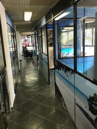 Imagem Imóvel com 10 Quartos à Venda, 354 m² em Chácara Inglesa - São Paulo Imagem Imóvel com 10 Quartos à Venda, 354 m² em Chácara Inglesa - São Paulo