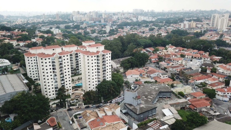 Imagem Imóvel com 3 Quartos à Venda, 75 m² em Jardim Peri Peri - São Paulo Imagem Imóvel com 3 Quartos à Venda, 75 m² em Jardim Peri Peri - São Paulo