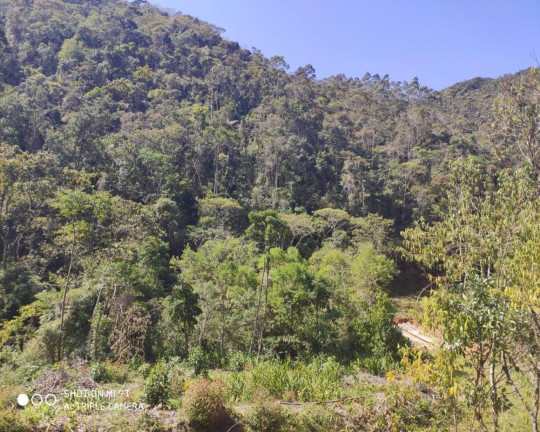 Imagem Imóvel à Venda, 2.500.000 m² em Fazenda Bela Vista - Nova Friburgo