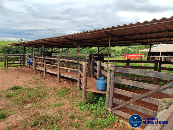 Imagem Chácara à Venda, 8 m² em Zona Rural - Taquaral De Goiás Imagem Chácara à Venda, 8 m² em Zona Rural - Taquaral De Goiás