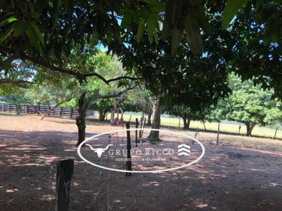 Imagem Fazenda à Venda, em Zona Rural - Guiratinga Imagem Fazenda à Venda, em Zona Rural - Guiratinga