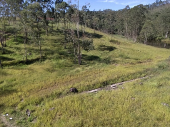 Imagem Terreno à Venda, 320.000 m² em Terra Preta (terra Preta) - Mairiporã Imagem Terreno à Venda, 320.000 m² em Terra Preta (terra Preta) - Mairiporã