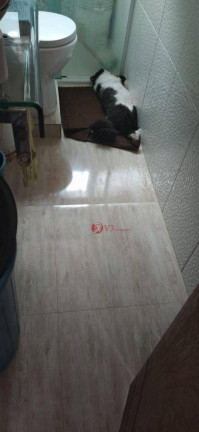 Imagem Apartamento com 2 Quartos à Venda, 48 m² em Conjunto Residencial José Bonifácio - São Paulo