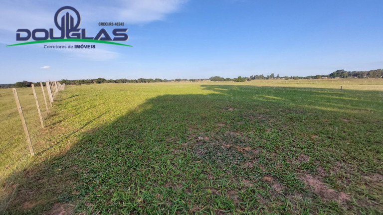 Imagem Chácara com 3 Quartos à Venda, 20.000 m² em águas Claras - Viamão