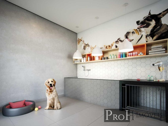 Imagem Apartamento com 2 Quartos à Venda, 63 m² em Ipiranga - São Paulo Imagem Apartamento com 2 Quartos à Venda, 63 m² em Ipiranga - São Paulo