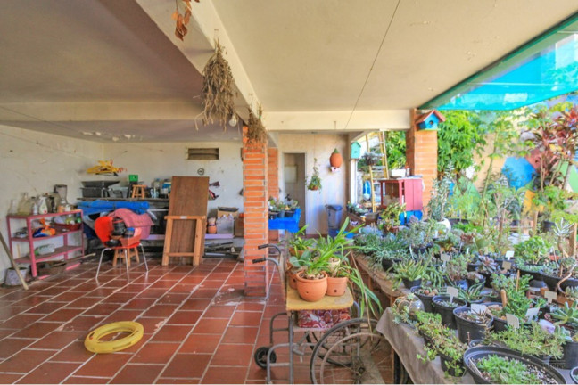 Imagem Casa com 5 Quartos à Venda, 254 m² em Três Figueiras - Porto Alegre Imagem Casa com 5 Quartos à Venda, 254 m² em Três Figueiras - Porto Alegre