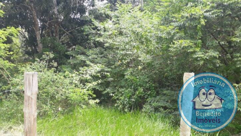 Imagem Terreno à Venda, 1 m² em Trancoso - Porto Seguro Imagem Terreno à Venda, 1 m² em Trancoso - Porto Seguro