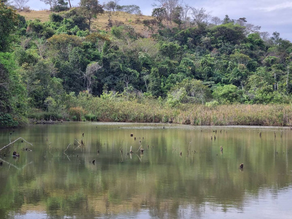 Imagem Fazenda à Venda, 9 m² em Interlândia - Anápolis Imagem Fazenda à Venda, 9 m² em Interlândia - Anápolis