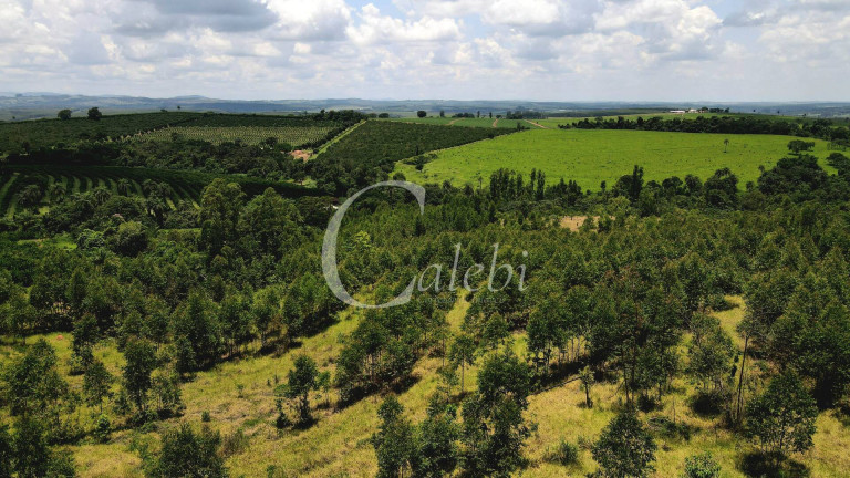 Imagem Chácara à Venda, 4 m² em área Rural De Mogi Guaçu - Mogi Guaçu Imagem Chácara à Venda, 4 m² em área Rural De Mogi Guaçu - Mogi Guaçu