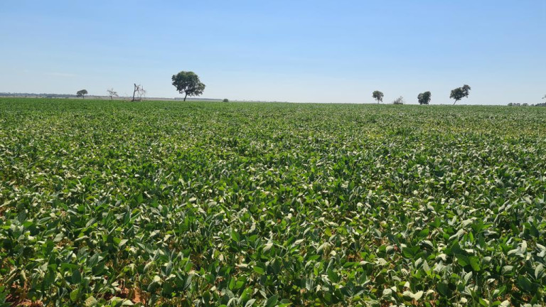 Imagem Imóvel à Venda, 9.680.000 m² em Rural - Bataguassu Imagem Imóvel à Venda, 9.680.000 m² em Rural - Bataguassu