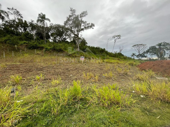 Imagem Terreno à Venda, 200 m² em Sertão Do Maruim - São José