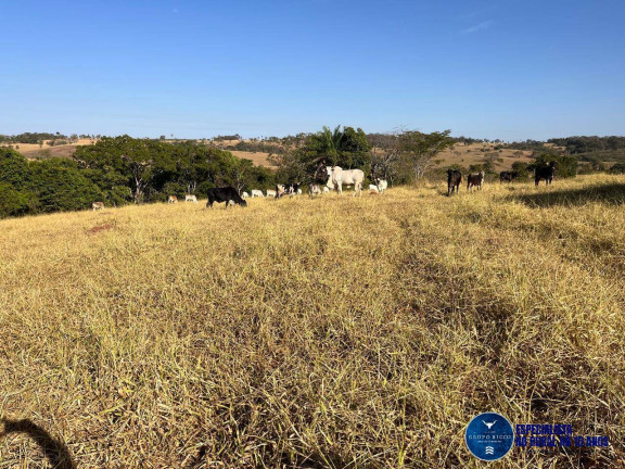 Imagem Chácara à Venda, 3 m² em Zona Rural - Taquaral De Goiás Imagem Chácara à Venda, 3 m² em Zona Rural - Taquaral De Goiás