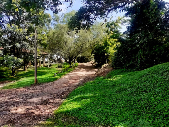 Imagem Chácara com 3 Quartos à Venda, 31.250 m² em São João Da Boa Vista Imagem Chácara com 3 Quartos à Venda, 31.250 m² em São João Da Boa Vista