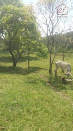 Imagem Fazenda à Venda, 72.500 m² em Cajuru - São José Dos Campos Imagem Fazenda à Venda, 72.500 m² em Cajuru - São José Dos Campos