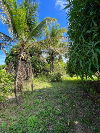 Imagem Terreno à Venda, 500 m² em Orla Norte - Porto Seguro Imagem Terreno à Venda, 500 m² em Orla Norte - Porto Seguro
