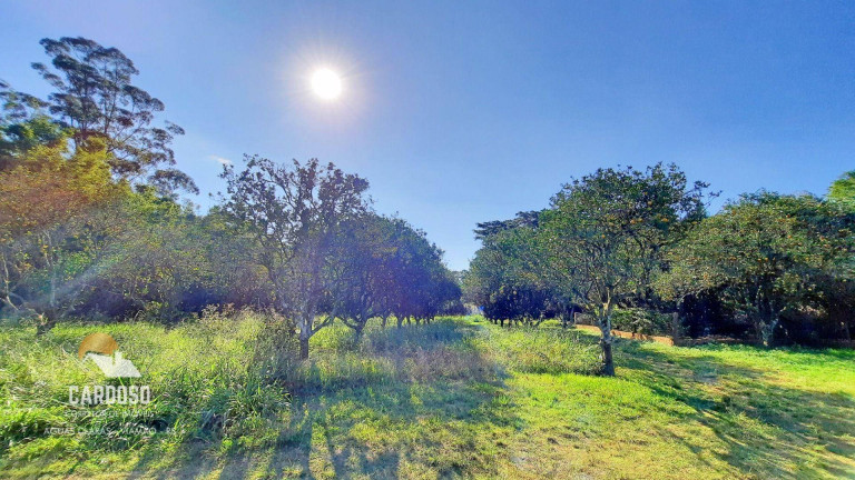 Imagem Fazenda à Venda, 100.000 m² em águas Claras - Viamão Imagem Fazenda à Venda, 100.000 m² em águas Claras - Viamão