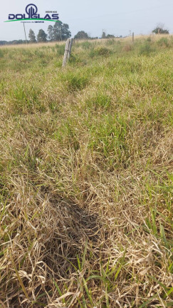 Imagem Terreno à Venda, em Viamão Imagem Terreno à Venda, em Viamão