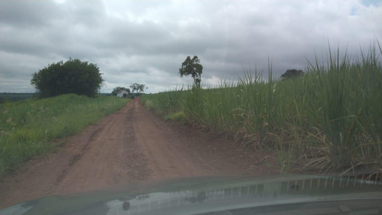 Imagem Fazenda à Venda, 42 m² em Rural - Avaré