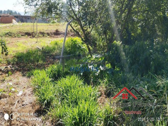 Imagem Terreno à Venda, 505 m² em Quinta Dos Angicos - Cotia Imagem Terreno à Venda, 505 m² em Quinta Dos Angicos - Cotia