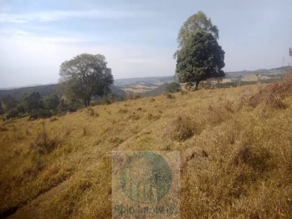 Imagem Imóvel com 4 Quartos à Venda, 540.628 m² em Zona Rural - Biguatinga