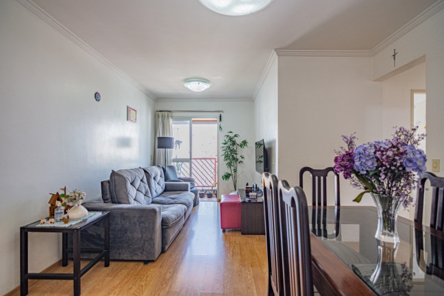 Imagem Apartamento com 3 Quartos à Venda, 76 m² em Vila Pompéia - São Paulo