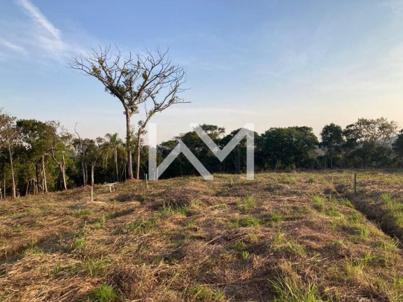 Imagem Terreno à Venda, 1.200 m² em Jardim Das Acácias - Guarulhos Imagem Terreno à Venda, 1.200 m² em Jardim Das Acácias - Guarulhos