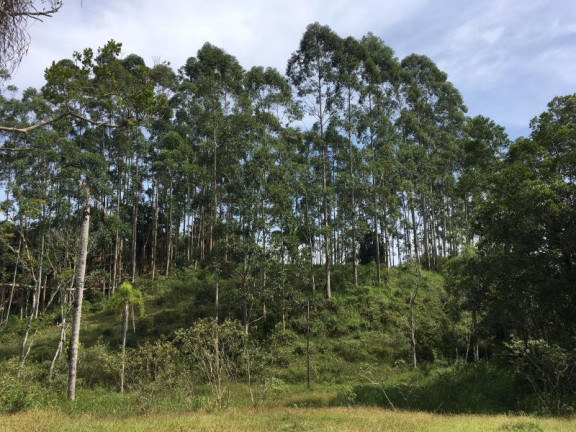Imagem Chácara à Venda, 51.000 m² em Rio Do Meio - Camboriu