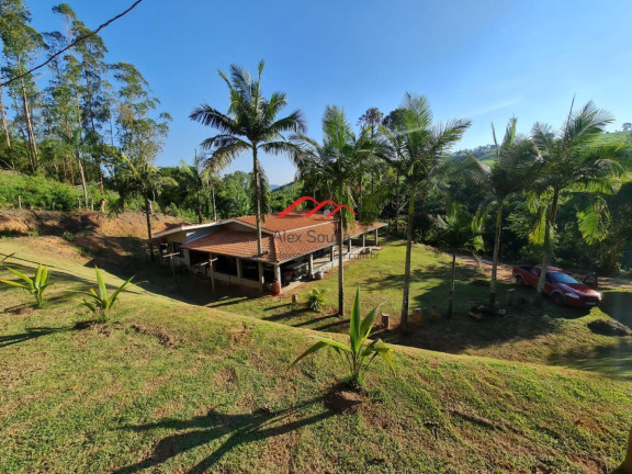 Imagem Chácara à Venda, 84.000 m² em Altos De Sumaré - Juruaia Imagem Chácara à Venda, 84.000 m² em Altos De Sumaré - Juruaia