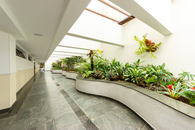 Imagem Apartamento com 3 Quartos à Venda, 117 m² em Jardim Da Saúde - São Paulo Imagem Apartamento com 3 Quartos à Venda, 117 m² em Jardim Da Saúde - São Paulo